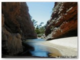 Alcie Springs - Simpson Gap