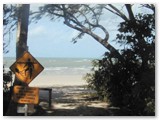 Cape Tribulation