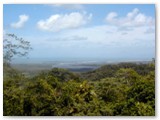 Daintree National Park -Alexandra lookout