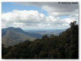 Dorrigo National Park