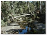 Flinders Ranges 