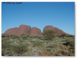 Uluru / Kata Tjuta National Park - Olgas