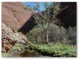 Uluru / Kata Tjuta National Park - Olgas