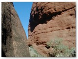 Uluru / Kata Tjuta National Park - Olgas