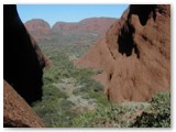 Uluru / Kata Tjuta National Park - Olgas