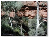 Kings Canyon  