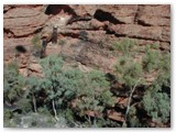 Kings Canyon 