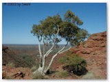 Kings Canyon 