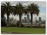 Perth - Skyline from Kings Park