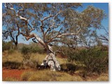 Karijini National Park - Rim of Dales Gorgen