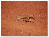 Karijini National Park 