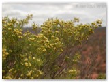 Kalbarri National Park