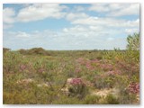 Kalbarri National Park