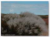 Kalbarri National Park