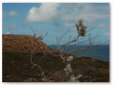 Kalbarri National Park