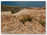 Kalbarri National Park