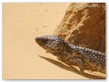 Nambung National Park