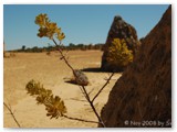 Nambung National Park