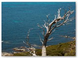 Cape Naturaliste