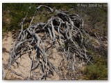 Cape Naturaliste