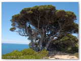 Cape Naturaliste