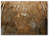 Calgardup Cave