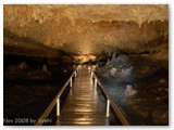 Calgardup Cave