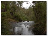 Beedelup NP - Beedelup Falls