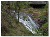 Beedelup NP - Beedelup Falls