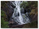 Beedelup NP - Beedelup Falls