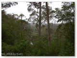 Warren NP - Warren Lookout