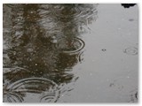 Glouchester NP - regnerischer Tag