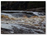 Walpole Nornalup NP - Frankland River