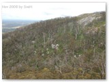 Porongurup NP 