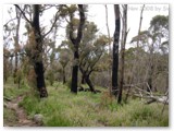 Porongurup NP 