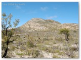 Fitzgerald NP -  East Mount Barren bei Sonnenschein ...