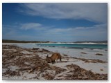 Cape Le Grand NP -Lucky Bay