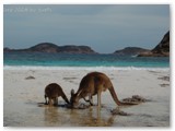 Cape Le Grand NP -Lucky Bay