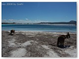 Cape Le Grand NP -Lucky Bay