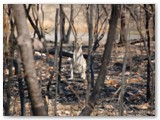 Litchfield  National Park