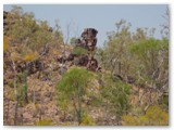 Litchfield  National Park - Walker Creek