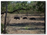 Mary River National Park