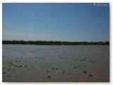 Mary River National Park