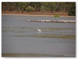 Mary River National Park