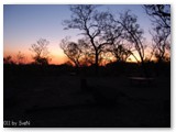 Mary River National Park