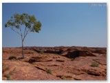 Watarrka National Park (Kings Canyon)