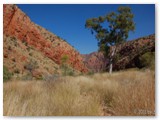 West MacDonell National Park  - Ormiston Gorge