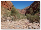 West MacDonell National Park  - Ormiston Gorge