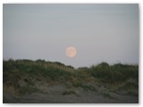 Mond über den Dünen d auf Rømø / Dänemark