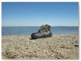 Am Strand auf Rømø / Dänemark